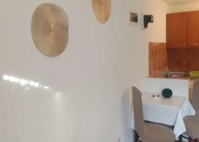 Sapienti Sat * Πούλα