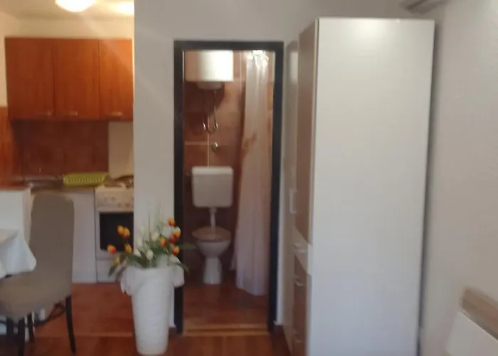 Sapienti Sat * Пула