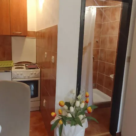 Apartment Sapienti Sat